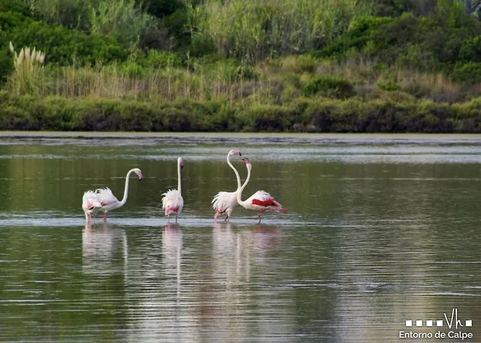 Вилла Vh Costablanca - Osalva *